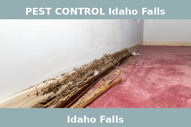 PEST CONTROL Idaho Falls
